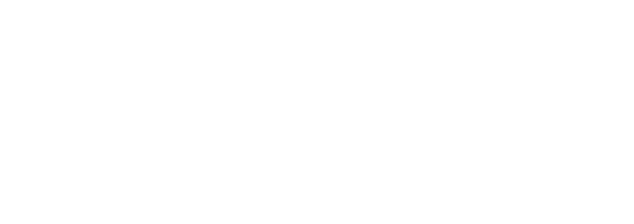 Mist Carpet and Furniture Cleaning
