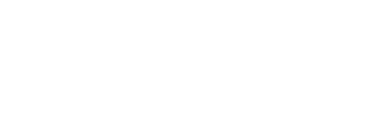 Mist Carpet and Furniture Cleaning